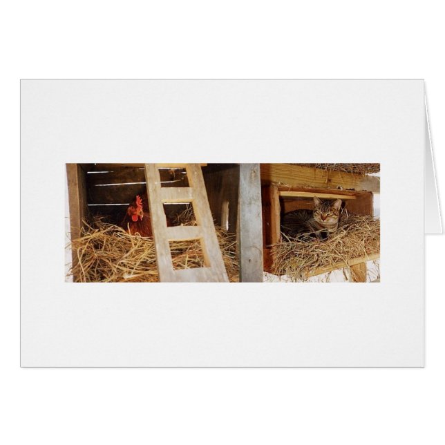 Emboîtement de poule et de chat (Devant horizontal)
