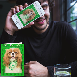 Embrasse Les Irlandais ! Carte Cavalier King Charl