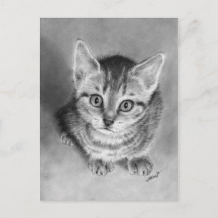 Embrasse-moi plaisir Kitten carte postale