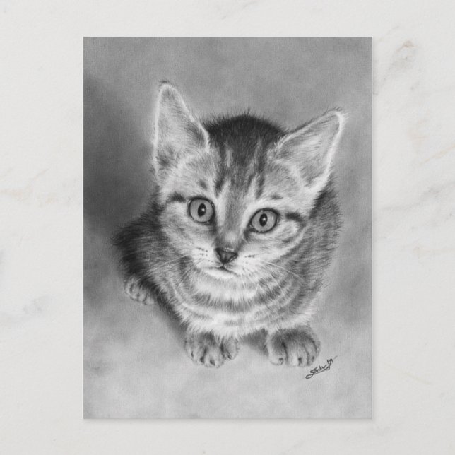 Embrasse-moi plaisir Kitten carte postale (Devant)