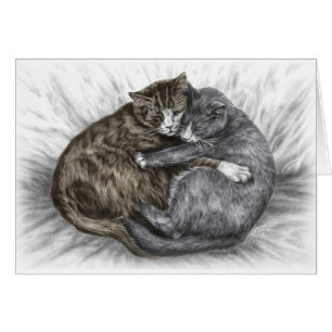 Embrasser les chats qui dorment