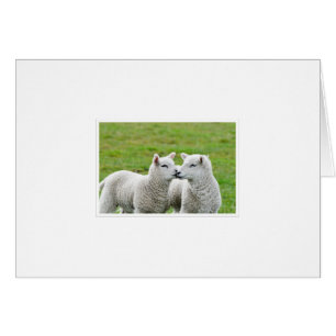 Embrassez et composez