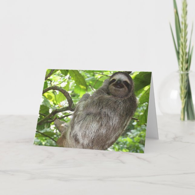 Emplacement dans l'arbre Cartes de voeux (Devant)