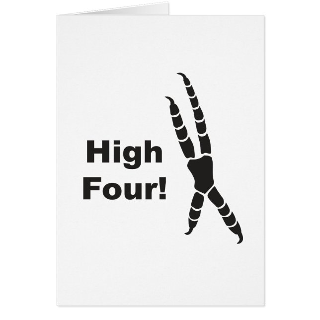 Empreinte de pas élevée de quatre perroquets (Devant)