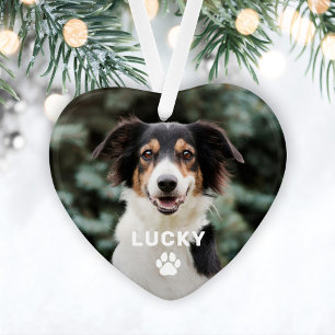 Empreinte de patte animal de compagnie chien photo