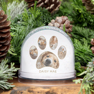 Empreinte de patte personnalisé Nom de l'animal de