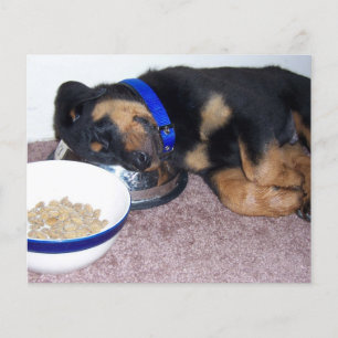 empreinte de patte sur votre coeur carte mémoire d