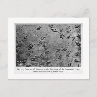 Empreinte Dinosaure carte postale