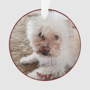 Empreinte Rouge Forme Cardiaque Remplie, Citation 