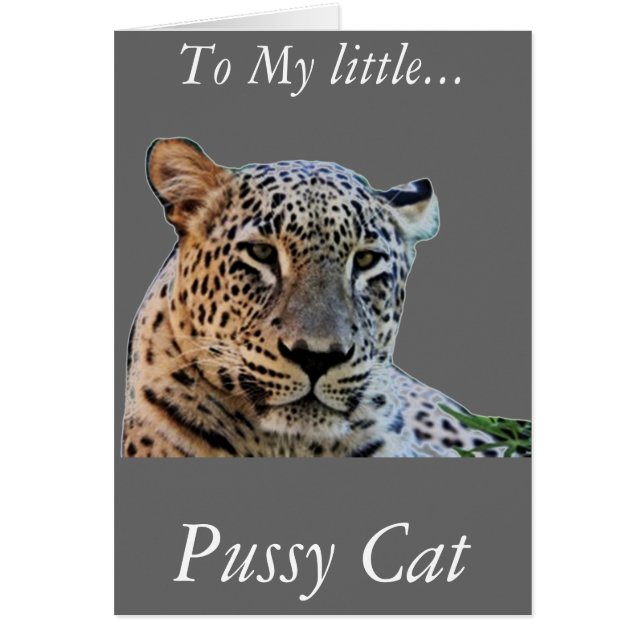 Empreintes de léopard (Devant)