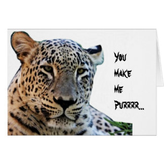 Empreintes de léopard