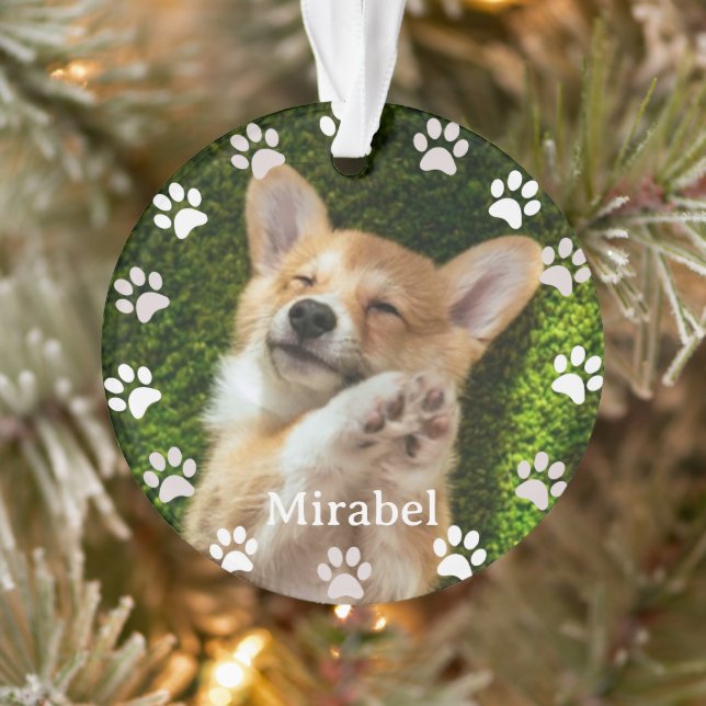 empreintes de pattes blancs Cadre personnalisé Ani (Arbre)