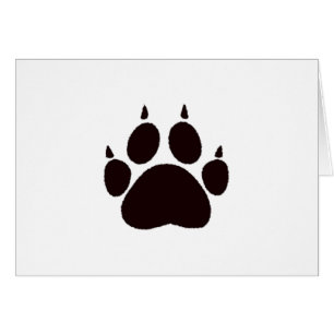 Empreintes de pattes de chat