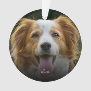 empreintes de pattes et coeurs Cadre Personnalisé