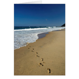 Empreintes sur la plage, Mabibi, Thongaland