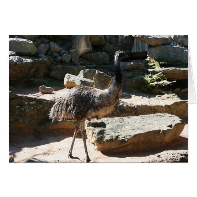 emu (Devant horizontal)