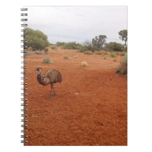 Emu australien dans le carnet extérieur