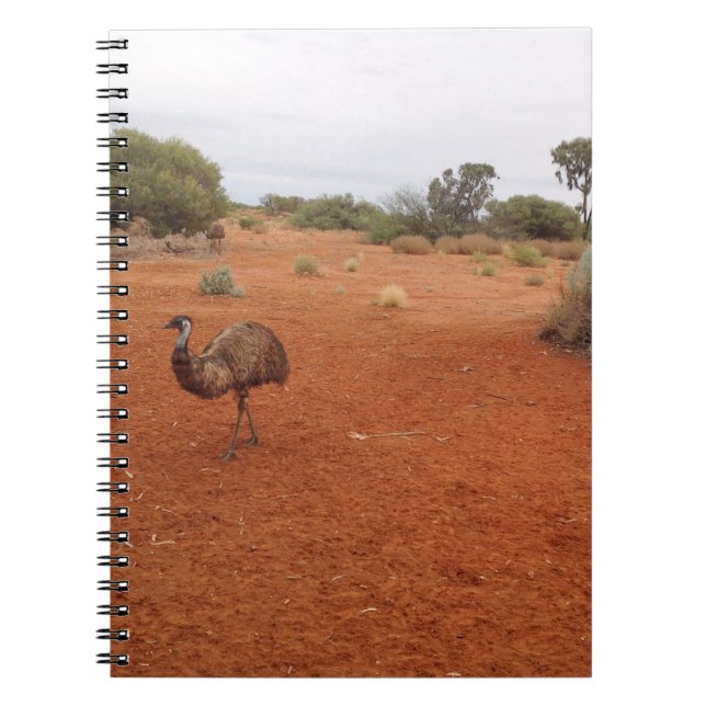 Emu australien dans le carnet extérieur (Devant)
