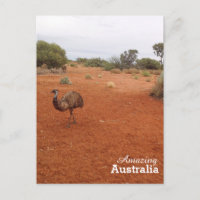 Emu dans la carte postale extérieure australienne