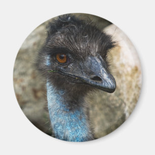 Emu Head Magnet