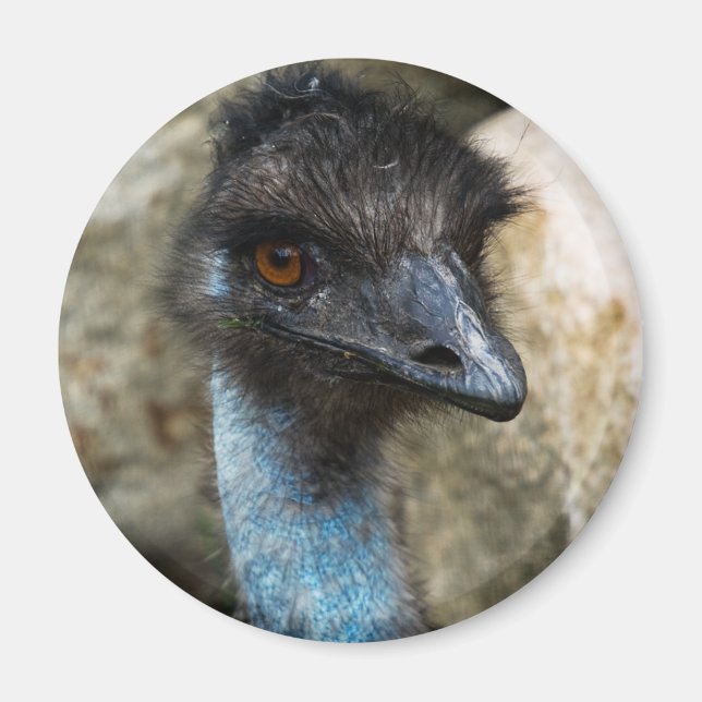 Emu Head Magnet (Devant)