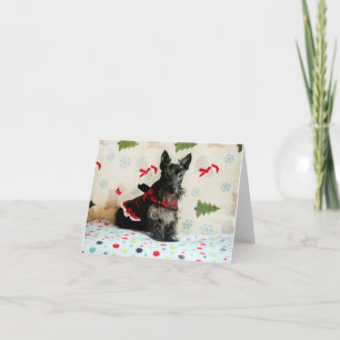 En attendant la carte de Noël