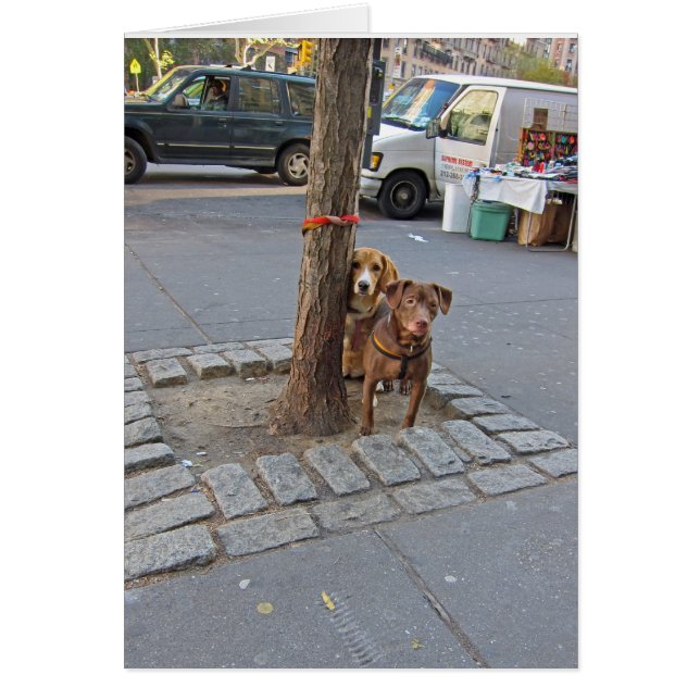 En attente... 5x7 (Devant)