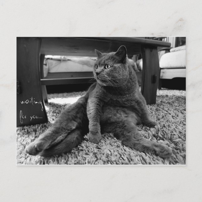 En attente - Carte postale (Devant)