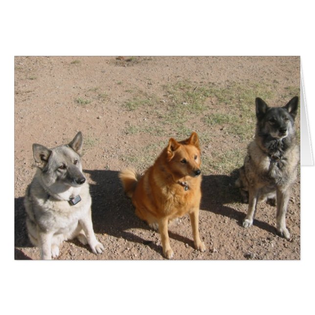 En attente de traitements (Devant horizontal)