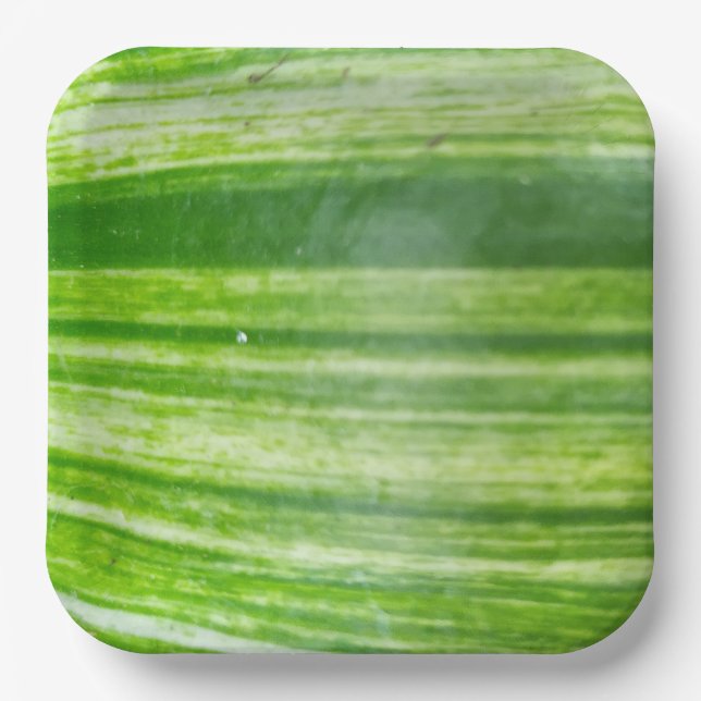 En Carton Assiettes carrées de 9 pouces avec motif de feuill (Recto)