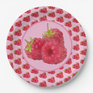 En Carton Assiettes de pape