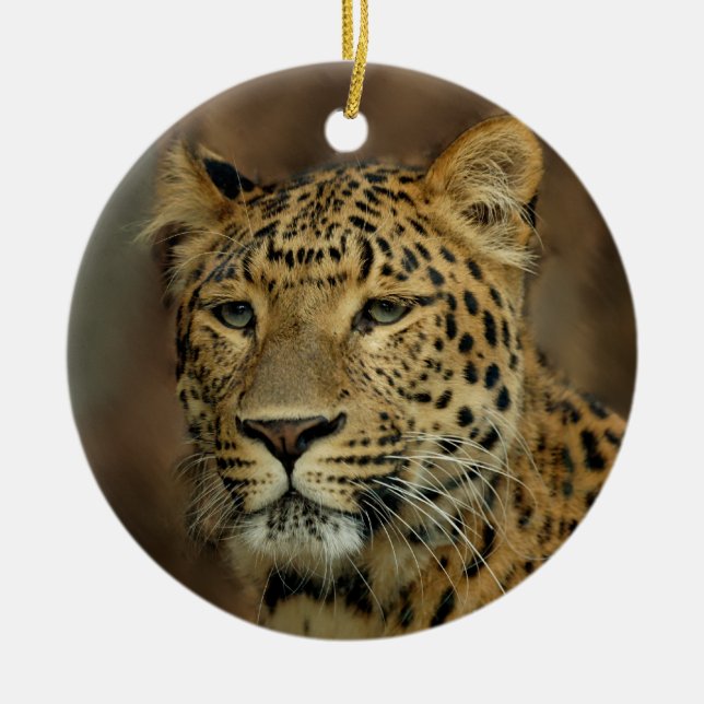 En Céramique Amateurs de léopard Ornement d'arbre de Noël (Devant)