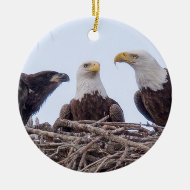 En Céramique E9 et ornement de vacances de famille (Devant)