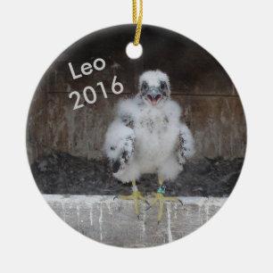 En Céramique Ornement 2016 de Lion