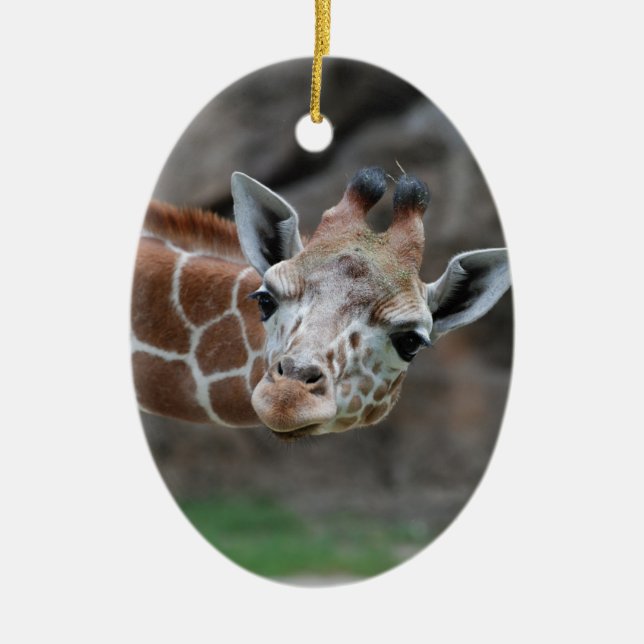 En Céramique Ornement adorable de girafe (Devant)