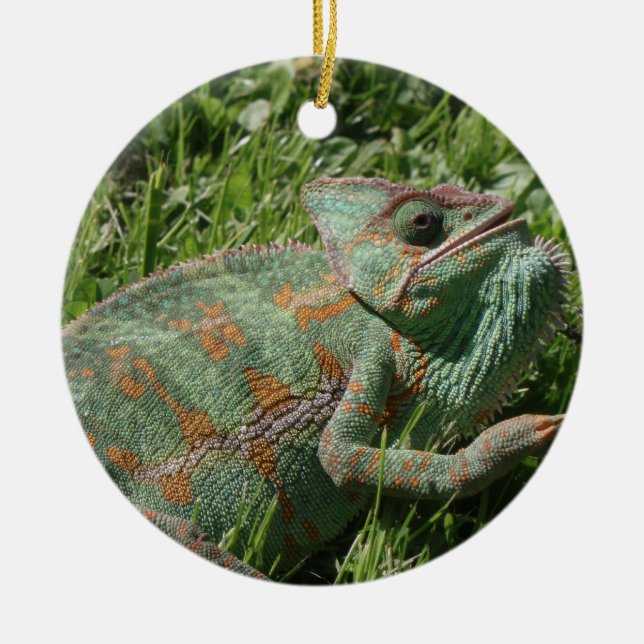 En Céramique Ornement agressif de caméléon (Devant)