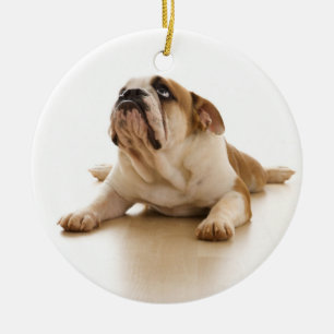 En Céramique Ornement anglais de Noël de bouledogue