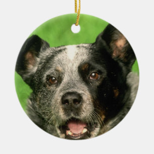 En Céramique Ornement australien de chien de bétail
