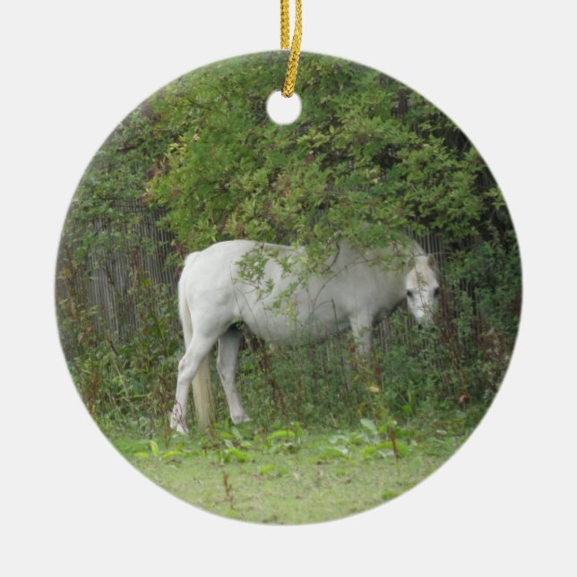 En Céramique Ornement Cheval Blanc et timide (Devant)
