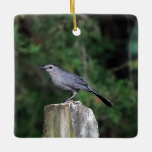 En Céramique Ornement de Catbird