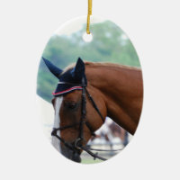 Ornement de cheval de Warmblood de Néerlandais