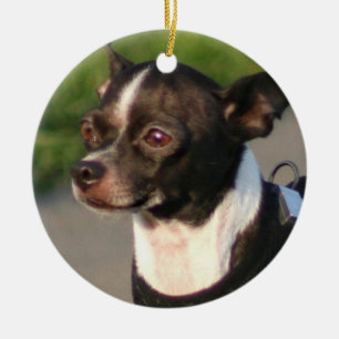 En Céramique Ornement de chien de chiwawa