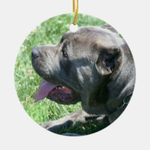 En Céramique Ornement de chien de corso de canne
