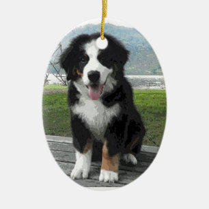 En Céramique Ornement de chien de montagne de Bernese