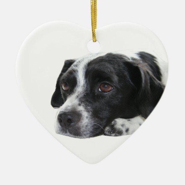 En Céramique Ornement de chien d'indicateur (Devant)
