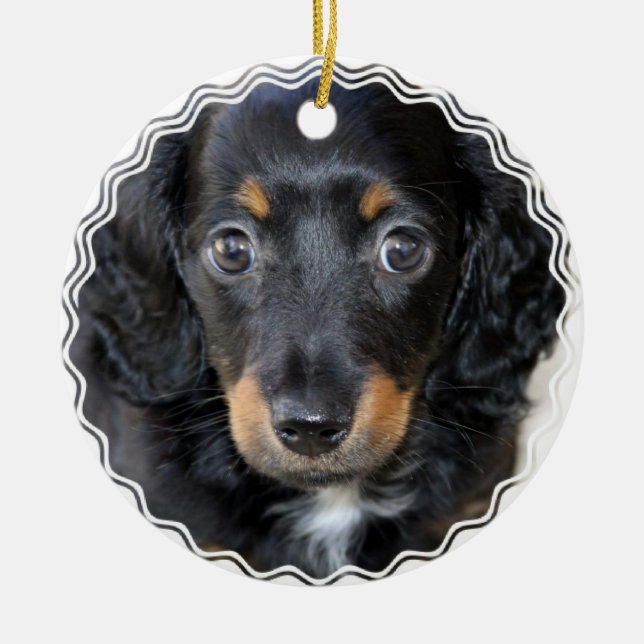En Céramique Ornement de chiot de Daschund (Devant)