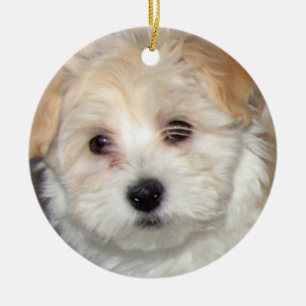 En Céramique Ornement de chiot de Havanese