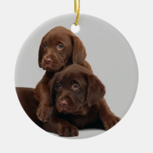 En Céramique Ornement de chiot de laboratoire de chocolat