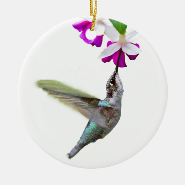 En Céramique Ornement de colibri (Devant)