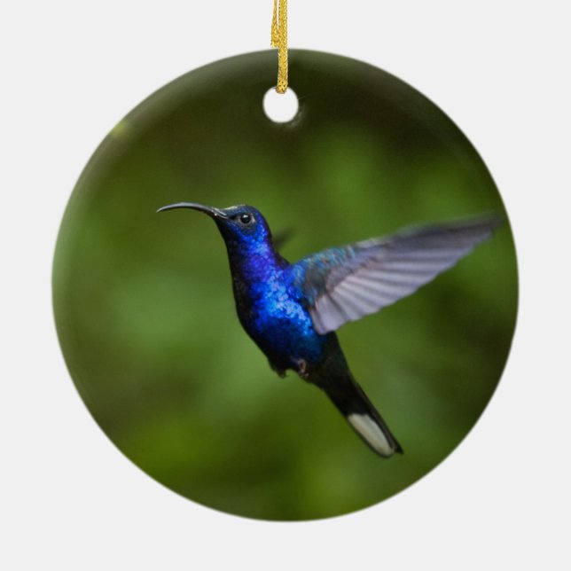 EN CÉRAMIQUE ORNEMENT DE COLIBRI (Dos)